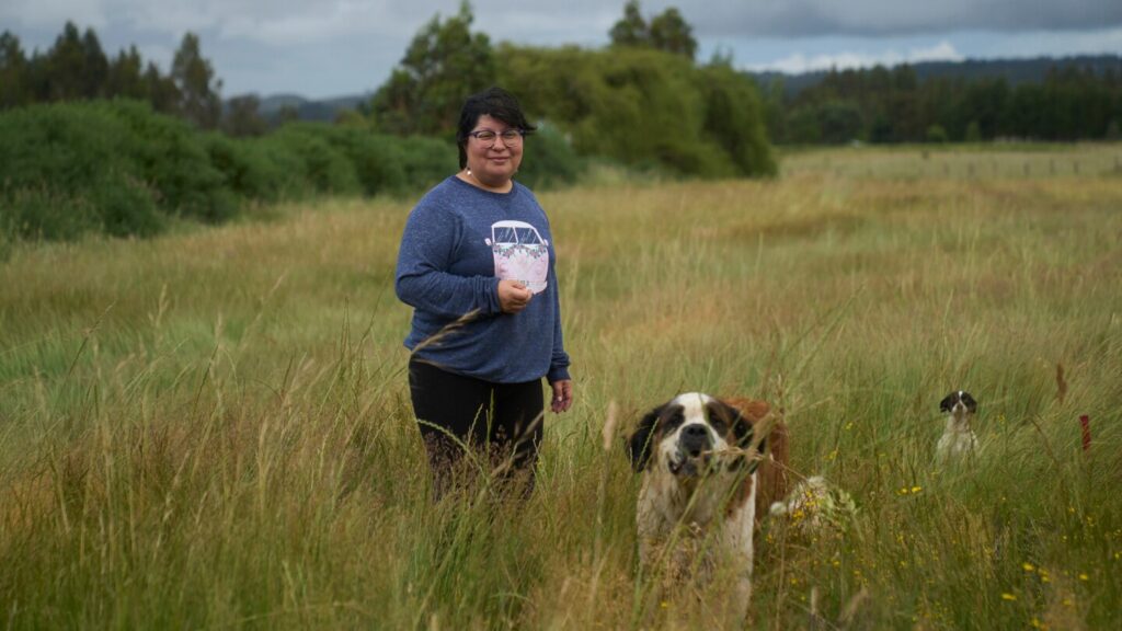 Chile’s Indigenous Mapuches fear future under political right