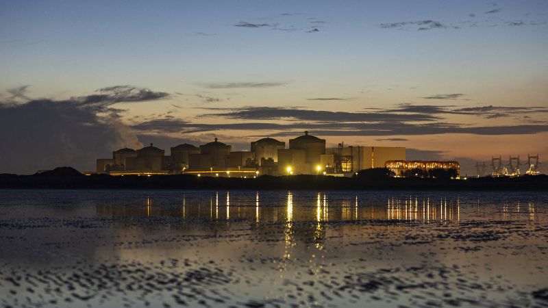 French nuclear plant shuts down due to swarm of jellyfish in cooling systems