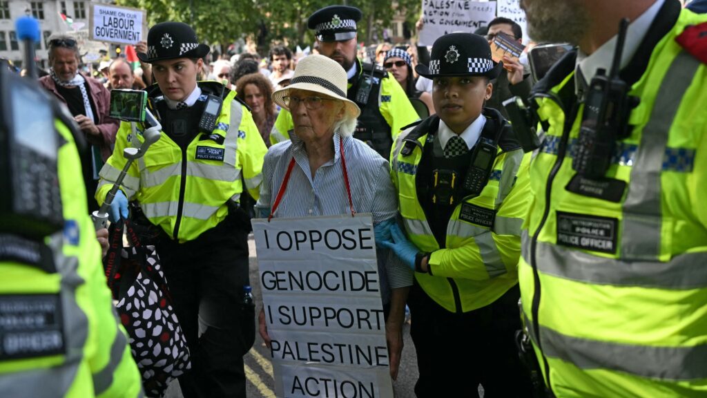 Police complained about having to make arrests at Palestine Action protest, says detainee