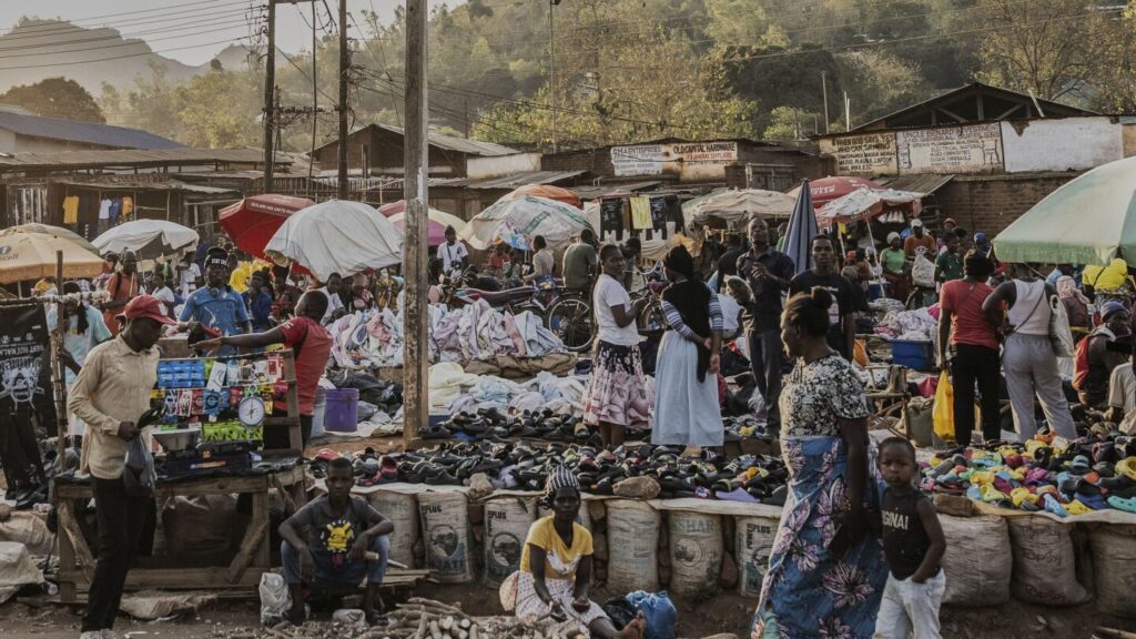 Malawi is to hold a presidential election while grappling with economic crisis