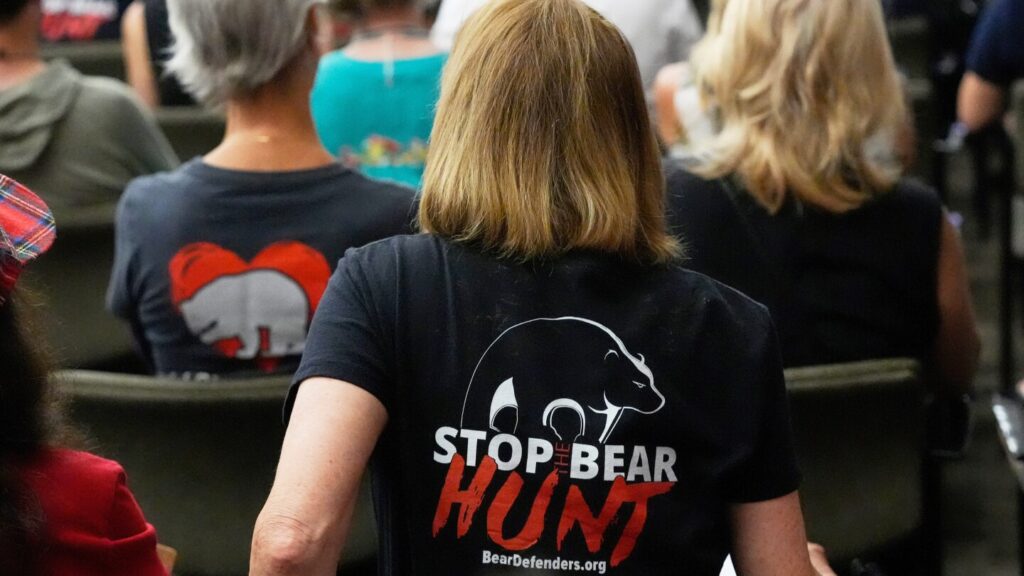 160,000 apply for Florida’s first bear hunt since 2015