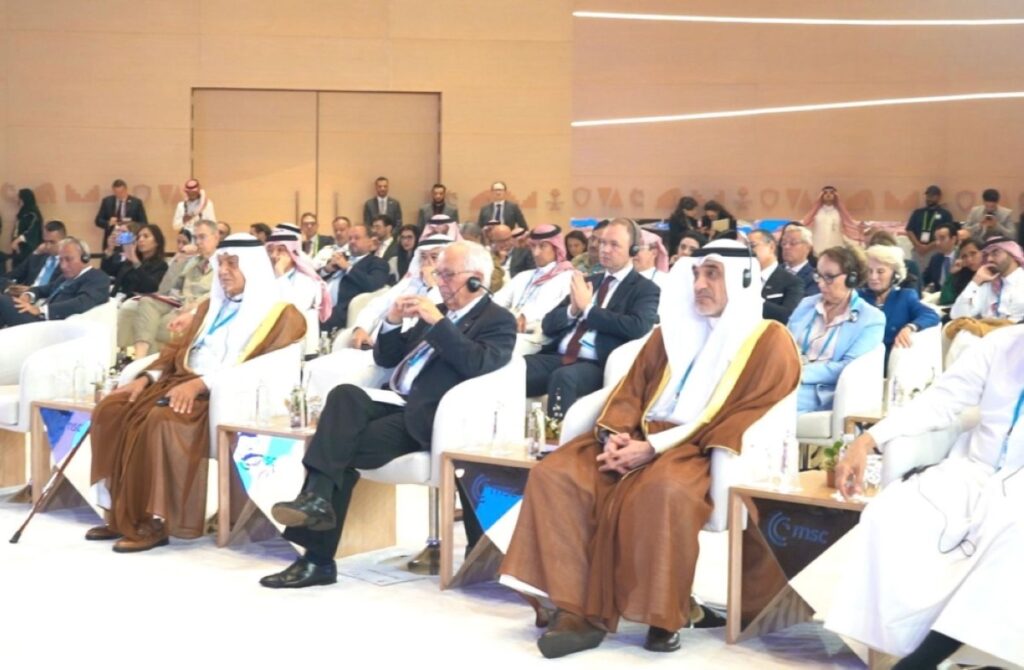 Deputy PM stresses cooperation amid Gaza crisis at summit