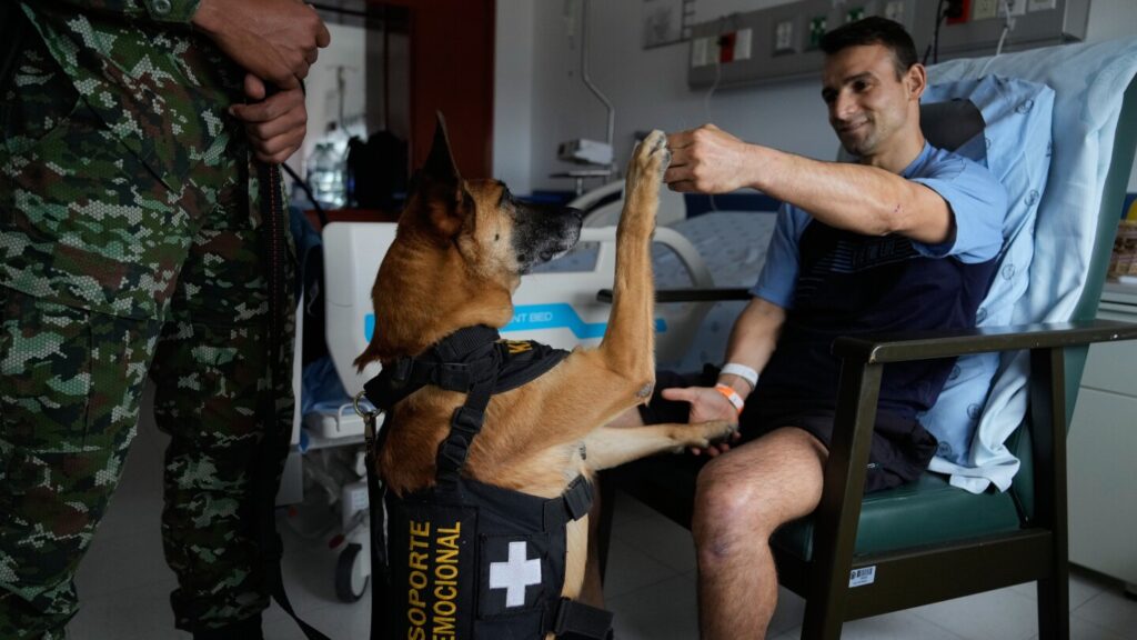 Emotional support dogs bring hope to wounded soldiers in Colombia