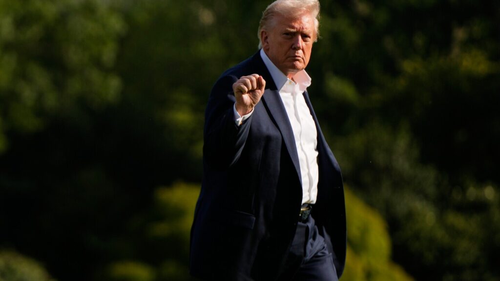 Appeals court rules against Trump’s birthright order