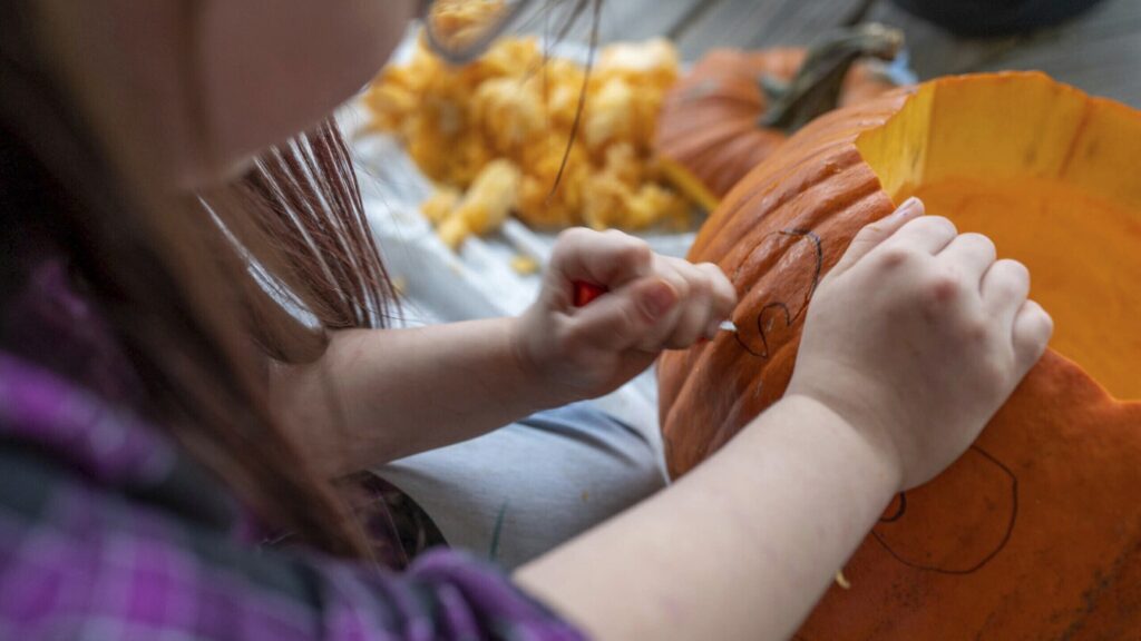 Halloween pumpkins can be used for baking, compost or animal feed