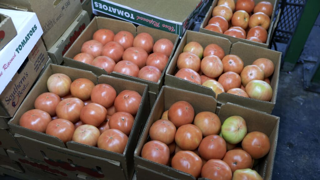 The laws of politics can be changed, but not economics