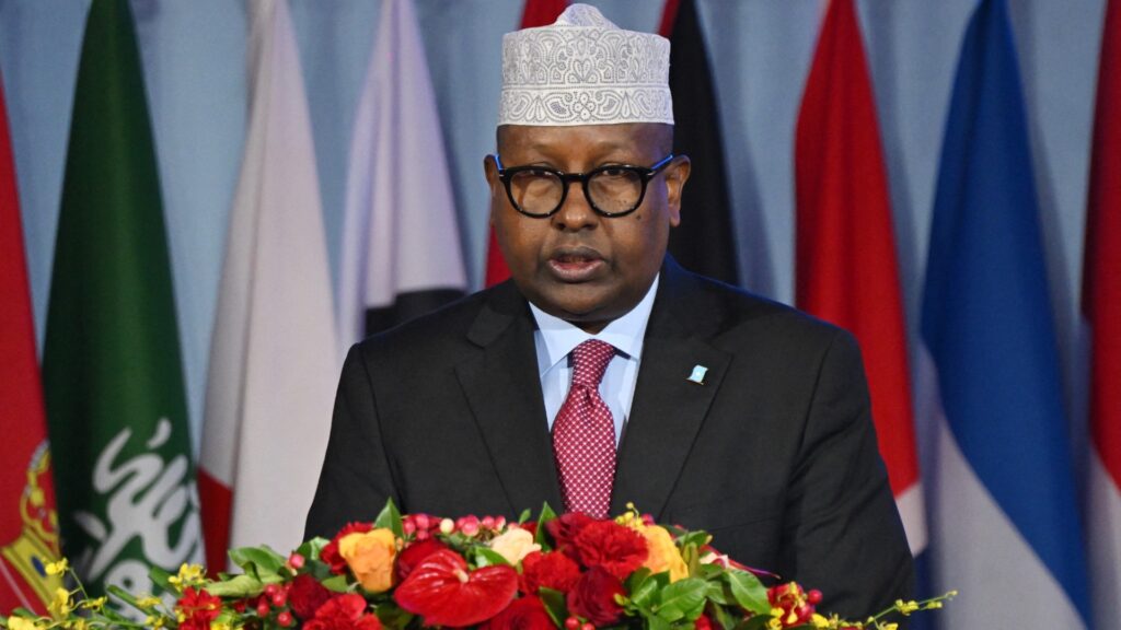 Somali defence minister confirms MEE report of flights from Bosaso to Sudan