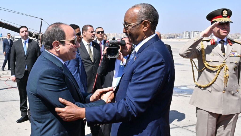 Exclusive: Egypt and Turkey boost support for Sudan’s army following RSF capture of el-Fasher