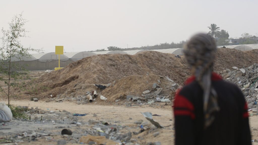 ‘Stenography’: BBC report inside Gaza rekindles criticism over genocide coverage