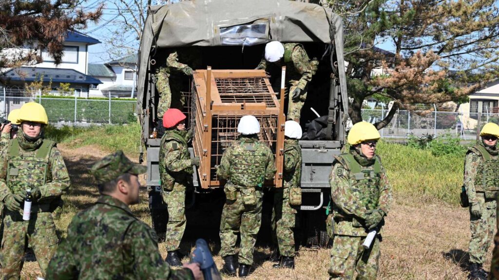 Japan sends troops to help with bear attacks in northern region