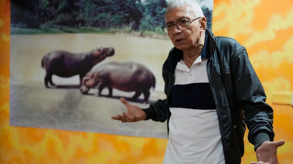 Colombian artists transform Pablo Escobar’s hippos and narco-excesses into art