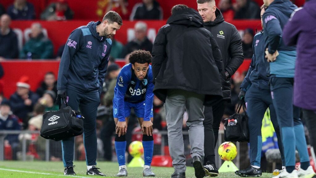 USA’s Tyler Adams out up to 3 months with torn MCL