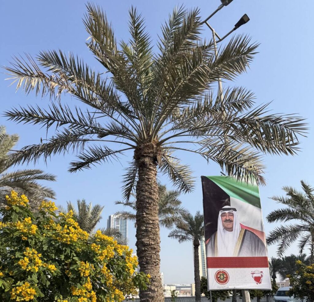 GCC boosts security, economic ties