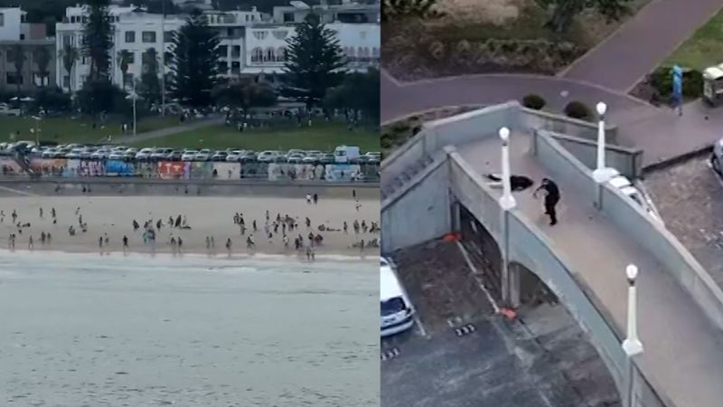 Live updates: Australia Bondi Beach shooting kills at least 15, details on suspects emerge