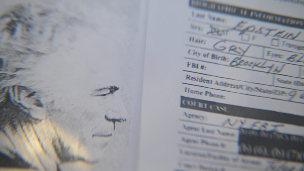 Epstein trained as an Israeli spy, FBI document says